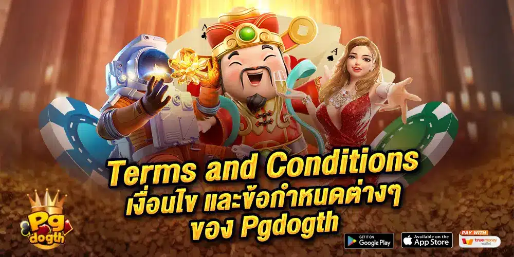 Terms and Conditions